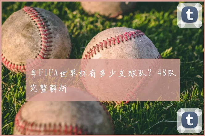 年FIFA世界杯有多少支球队？48队完整解析